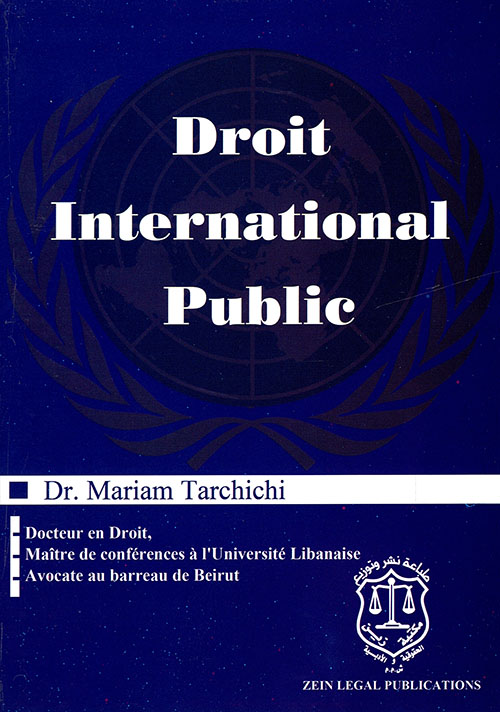 Droit International Public